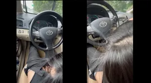 Bồ mưa thích bú mút trên xe ô tô