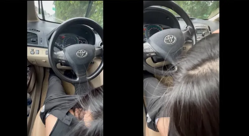 Bồ mưa thích bú mút trên xe ô tô